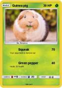 Guinea pig