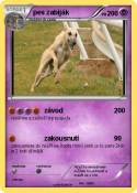 pes zabiják