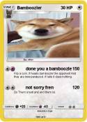 Bamboozler