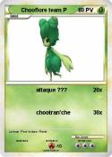 Chooflore team