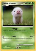 cuttest pig