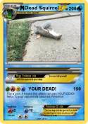 Dead Squirrel