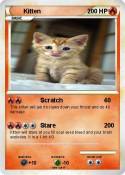 Kitten