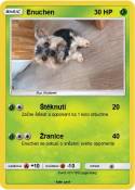 Enuchen