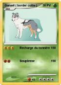 Ganaël ( border