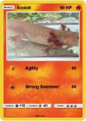Axolotl