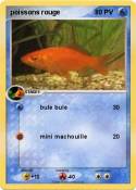 poissons rouge