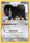 dikke hond
