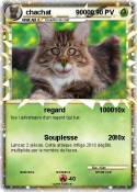 chachat 90000