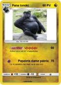 Pana tonoki