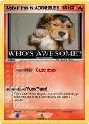Vote if this is