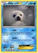 baby seal