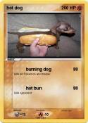 hot dog