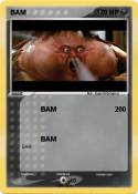 BAM