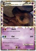 Sadie