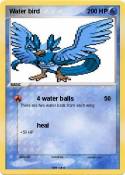 Water bird