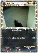 Evil Cat