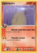 Lightning bird
