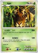 tigre