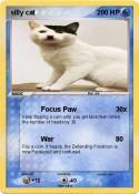 silly cat