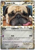pugs 4 life