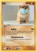 dog
