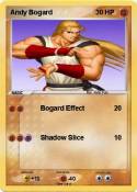 Andy Bogard