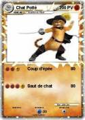 Chat Potté