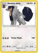 Elesteva shiny