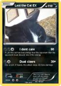 Lexi the Cat