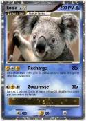 koala