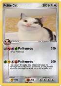 Polite Cat