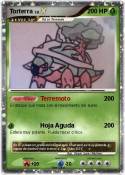 Torterra
