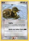 duck
