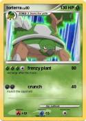 torterra