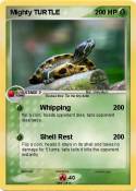 Mighty TURTLE