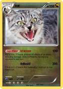kat