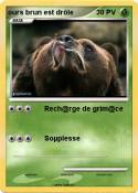 ours brun est