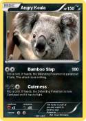 Angry Koala