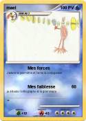 mael