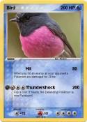 Bird