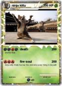 ninja kitty