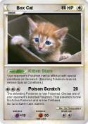 Box Cat
