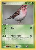 Finch