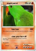 stupid parrot