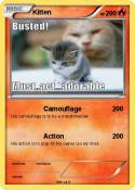 Kitten
