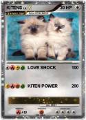 KITENS