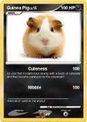 Guinea Pig