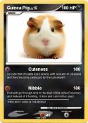 Guinea Pig