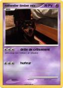 rottweiler timb